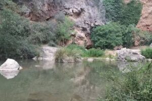 TurPalancia Navajas