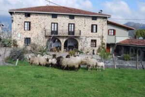 Uxarte