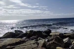 Vera Relax