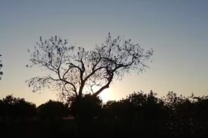 Villa Es Tres Pins