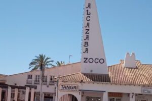 Zoco